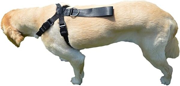 Downtown Pet Supply No Pull Dog Harness for Small Dogs Step in Dog Vest